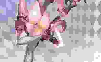 D.Va Online [Overwatch] (InstantIP) hentai 1