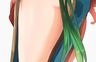 Lyn's thighs [Fire Emblem] hentai 15