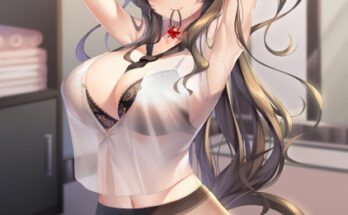 Nekos know the best lingerie hentai 9