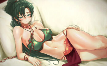 Lyn from Fire Emblem as Leia from Star Wars hentai 23