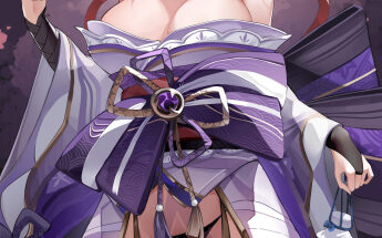 Lewd Raiden Shogun hentai 13