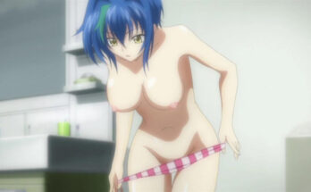 xenovia-high-school-dxd-hentai.jpg
