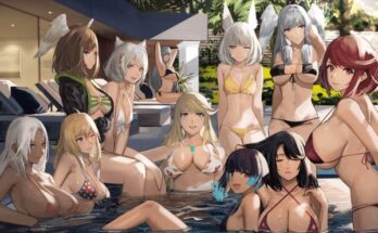 xenoblade-chronicle-girls-are-so-hot-jck.png