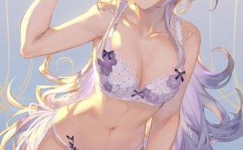 lingerie-merlin-fate-go.jpg