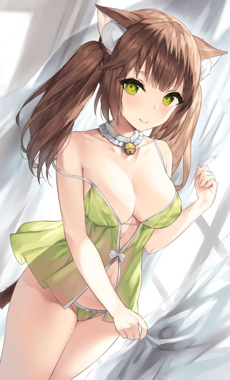 catgirl-in-cute-green-lingerie.png