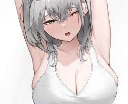 shirogane-noel-hololive.jpg
