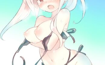 robins-swimsuit-malfunction-teuuu18.png