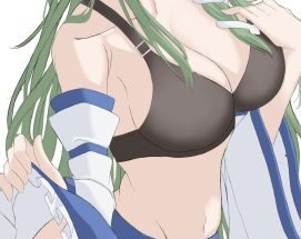 sanae-touhou.jpg