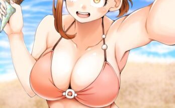 ochakos-beach-selfie-aciashi-my-hero-academia.jpg